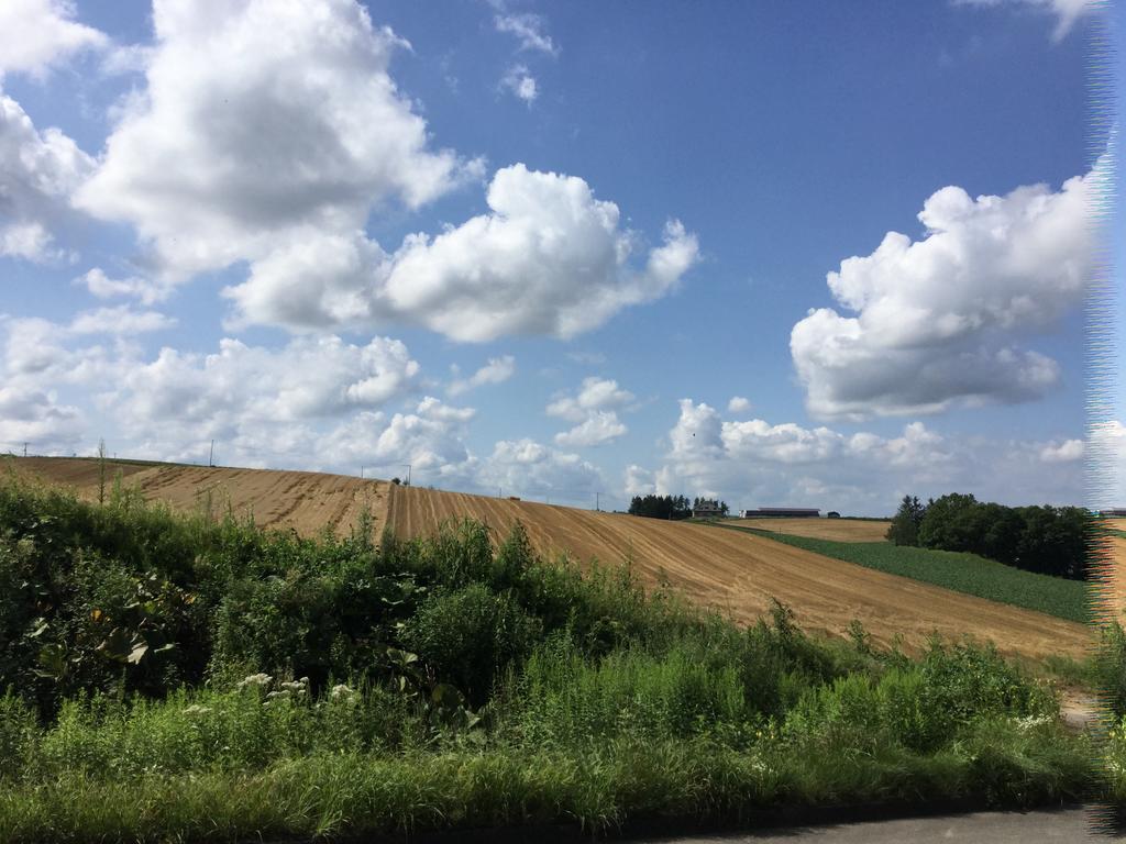 بيي Cottage Clover المظهر الخارجي الصورة