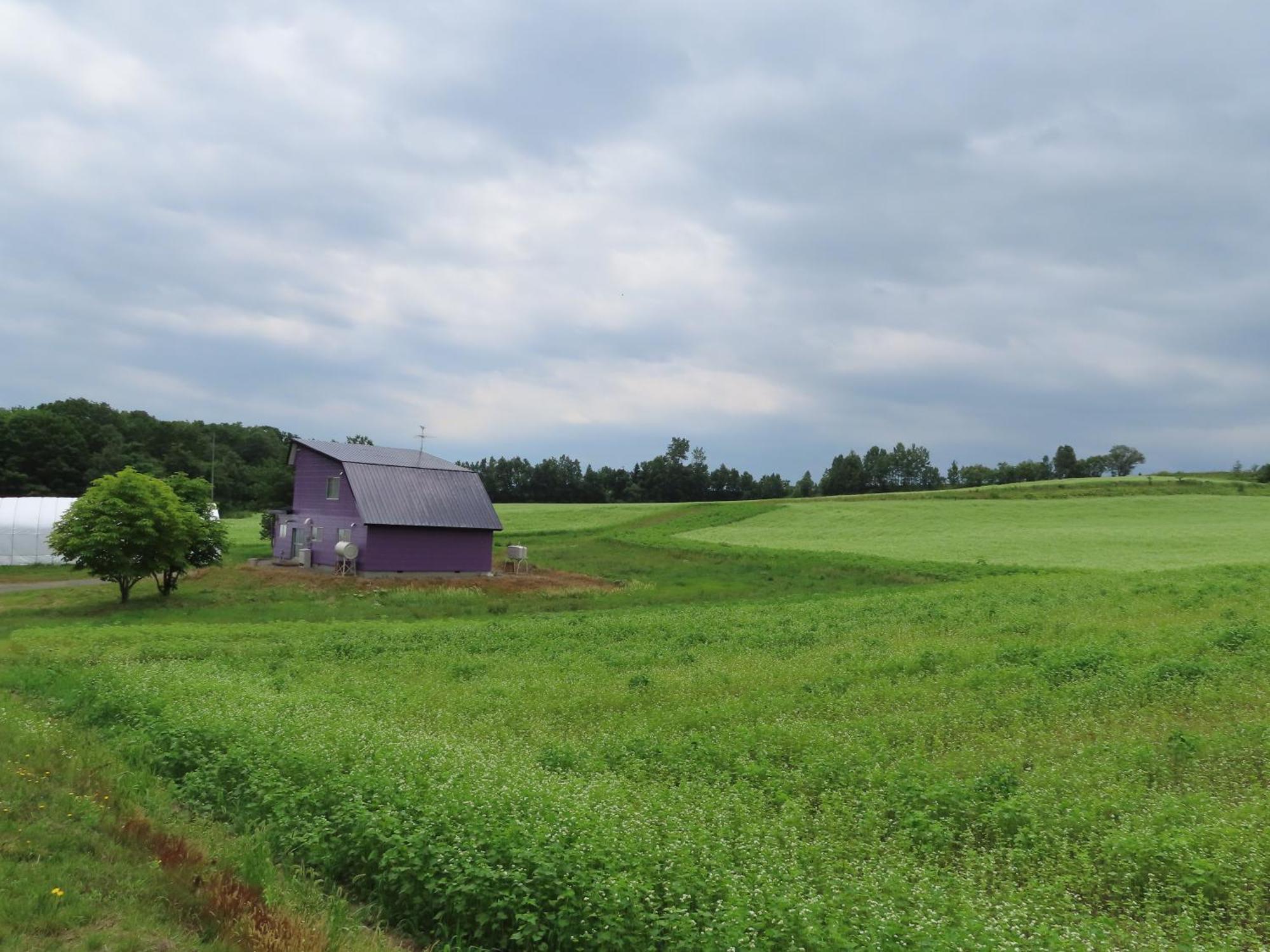 بيي Cottage Clover المظهر الخارجي الصورة