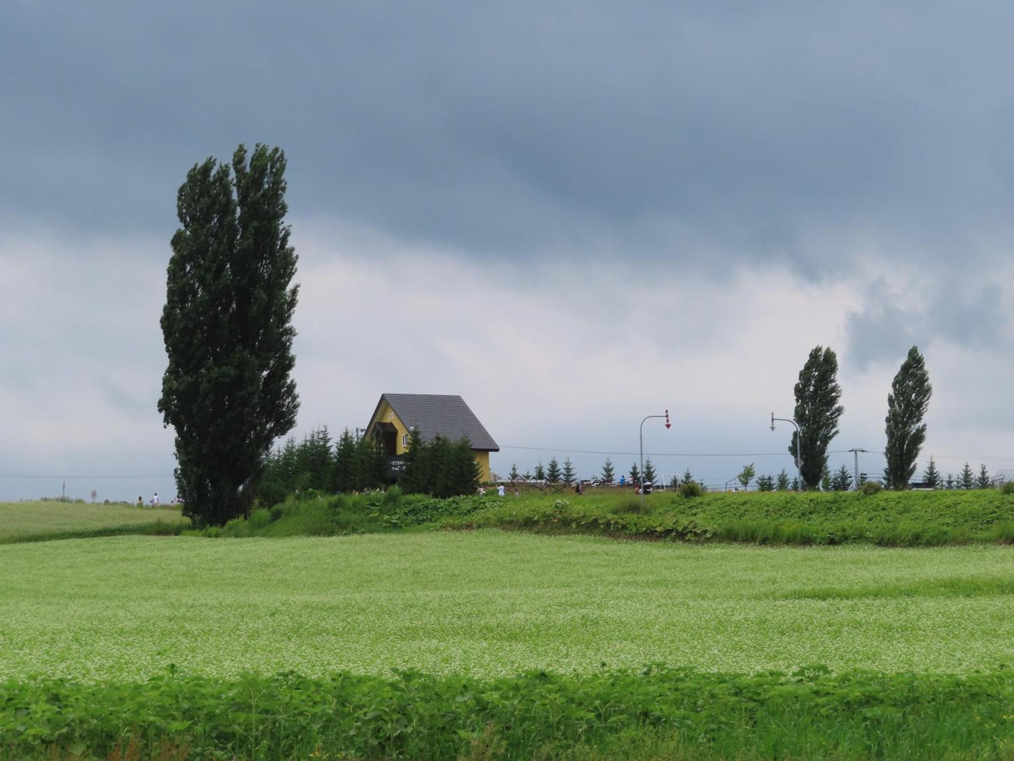 بيي Cottage Clover المظهر الخارجي الصورة